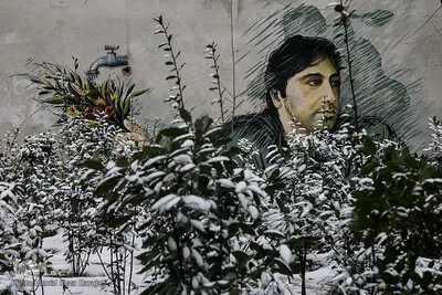 بارش برف در تهران