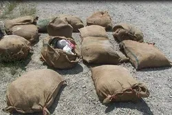 پروان کې ۱۴ بورۍ چاودېدونکي توکي کشف او ضبط شول