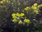 طبیعت بکر و زیبای منطقه گردشگری فندقلوی اهر