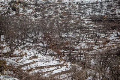 بارش برف در روستای «کندازی‎‎» - استان فارس