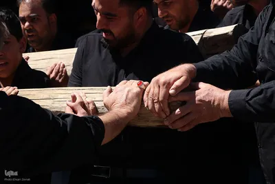 مراسم نخل‌برداری به مناسبت شهادت امام رضا(ع) در یزد‎
