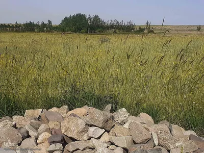 طبیعت زیبای قوشاداغ در اهر