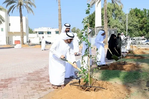 Les Emirats Arabes Unis reverdissent leurs mosquées