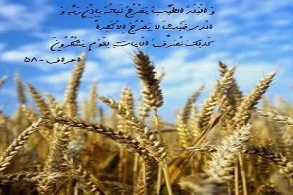 هشدار قرآن نسبت به قاشق‌های پر از زباله