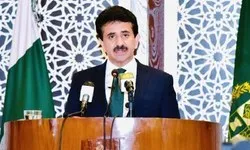 بھارتی مظالم پر عالمی تنقید جاری ہے'، دفتر خارجہ کا یورپی قانون سازوں کے خط کا خیر مقدم