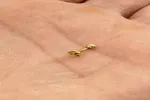 پیرسینگ طلا اهدایی به جبهه مقاومت