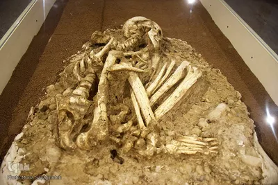 
موزه آثار باستانی در شوش
