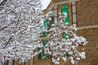بارش اولین برف زمستانی در اراک