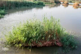 سراب کارون