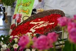 نمایشگاه گل و گیاه - محلات/عکس:محمد رجبی