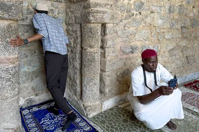 زیارت دوره زائران در مدینه منوره