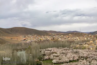 سامان شهر شکوفه‎های بهاری