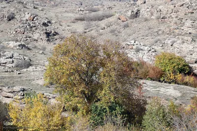 رنگین‌کمان رنگ‌ها در سرزمین ارسباران