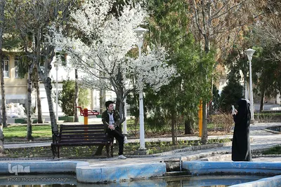 نرم نرمک می‌رسد اینک بهار