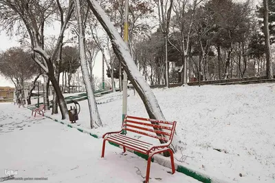بارش برف در اهر