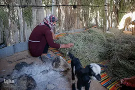 کوچ عشایر در فارس‎