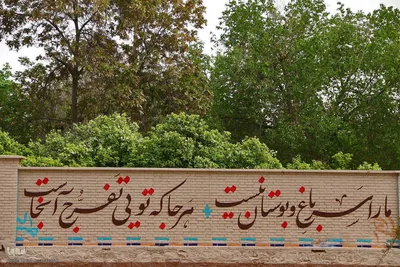 برداشت بهار نارنج در شیراز