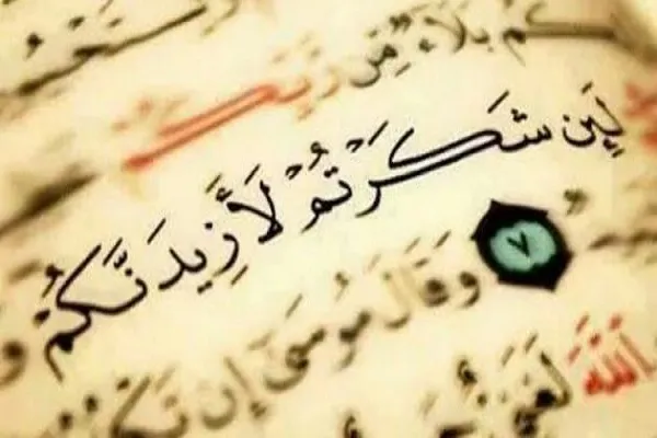 القرآن يؤكد أن النعم تتضاعف بالشكر