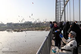 پرندگان مهاجر کارون