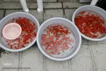 بازار همدان در آستانه سال نو‎‎