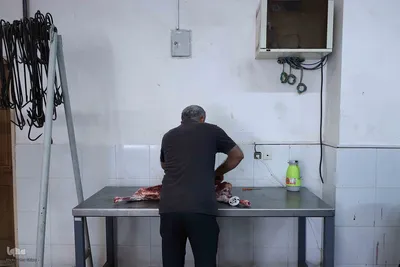 ذبح و توزیع گوشت قربانی بین نیازمندان در تبریز