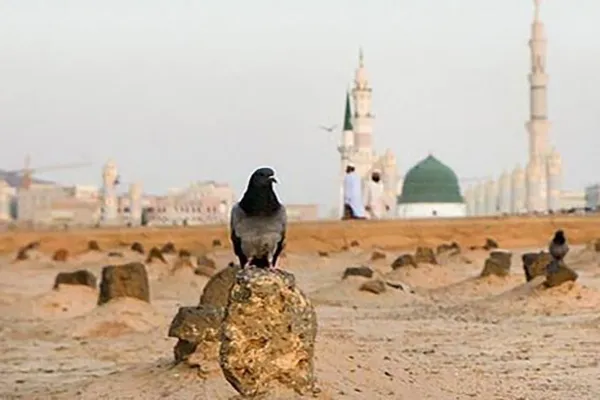 پادکست | الگوی بندگی