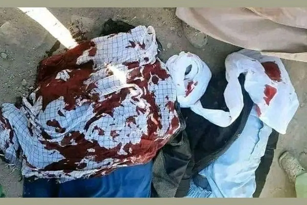 Assassination of Two Shia Clerics in Afghanistan: Taliban Vows to Bring Perpetrators to Justice