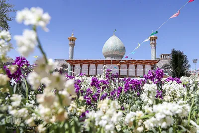 تحویل سال نو در شاهچراغ (ع)