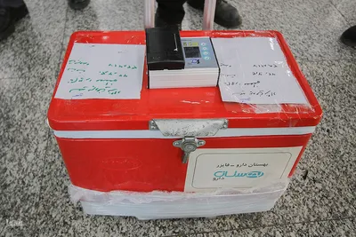 استقبال از پیکر شهید پروین نژاد از شهدای امنیت در شیراز