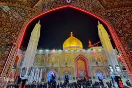 احیا در حرم امام علی‎‎