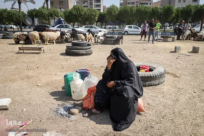 خرید و  فروش دام در روز عید قربان