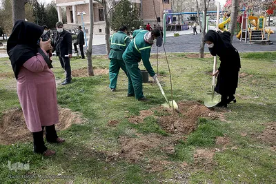 مراسم درختکاری گرامیداشت پیرغلامان اهل بیت(ع) در بوستان «باغ نو» فرهنگسرای تهران
