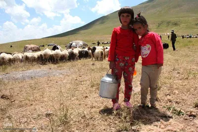 تجربه کودکانه از غم و شادی های روزگار / دنیای متفاوت کودکان شهری و عشایری شهرستان اهر