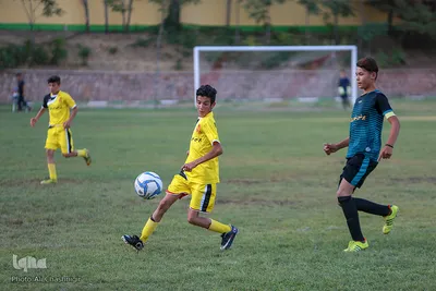 قهرمانان بزرگ، نان آوران کوچک