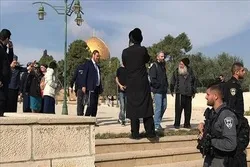 Palestinian Resistance Groups Urge Confronting Israeli Raids on Al-Aqsa