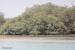 طبیعت صفر مرزی چابهار