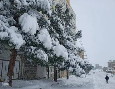 بارش شدید برف در اهر
