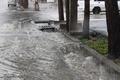 بارش باران در بیرجند