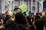 همایش شیرحوارگان در کرج