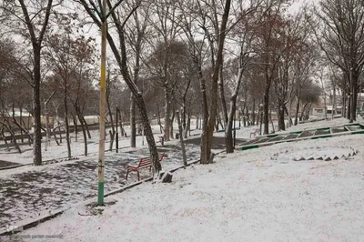 بارش برف در اهر