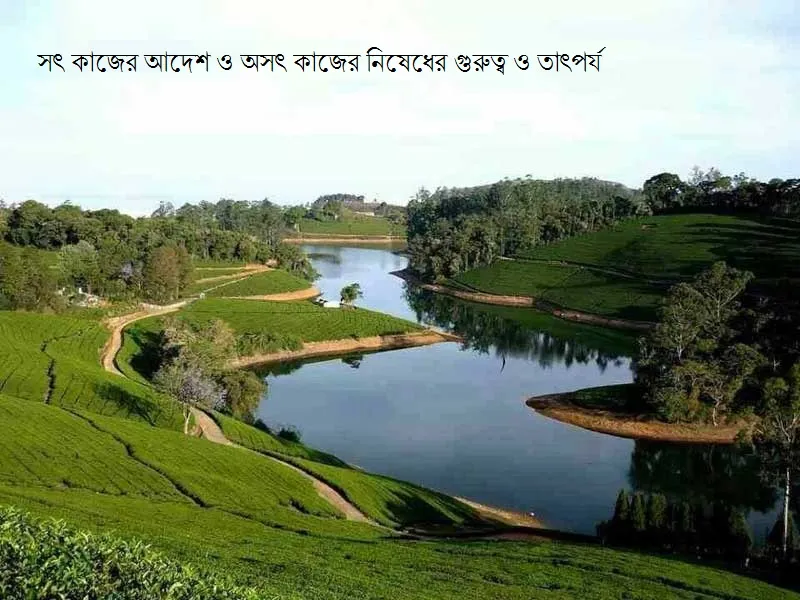 সৎ কাজের আদেশ ও অসৎ কাজের নিষেধের গুরুত্ব ও তাৎপর্য