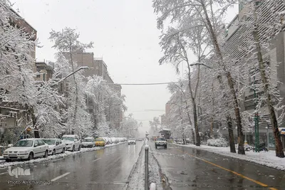 تهران روسفید شد