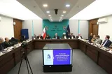 اهمیت ساخت روایت فراملی از مبارزه بانو حدیدچی