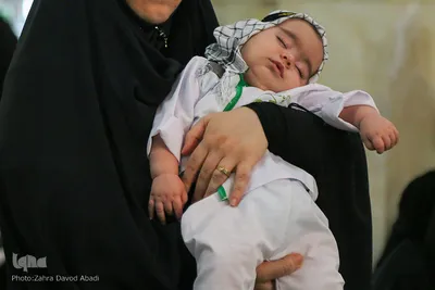 همایش شیرخوارگان حسینی در حرم حضرت معصومه (س)