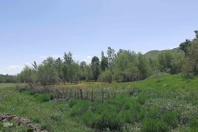 طبیعت بهاری روستای کسانق اهر