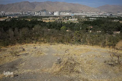 پارک جنگلی چیتگر