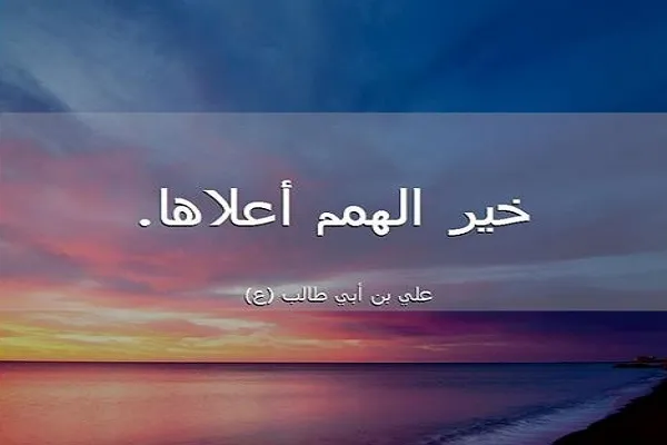 عُلُوُّ الهمة يشمل جميع الأبعاد الإنسانية المعنوية والمادية