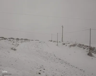 بارش برف در شهرستان اهر