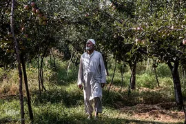 کشمیر، ۱۱۰روز بعد از لغو خودمختاری