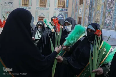 آیین گرامیداشت حضرت شاهچراغ(ع)‎‎